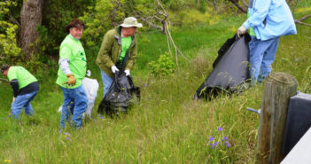 2017 City Clean-Up Week – Week of May 8th