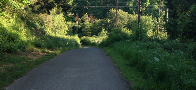 2019 City-Wide Summer Mosquito Control Program